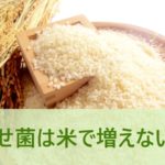 痩せ菌は米では増えないの